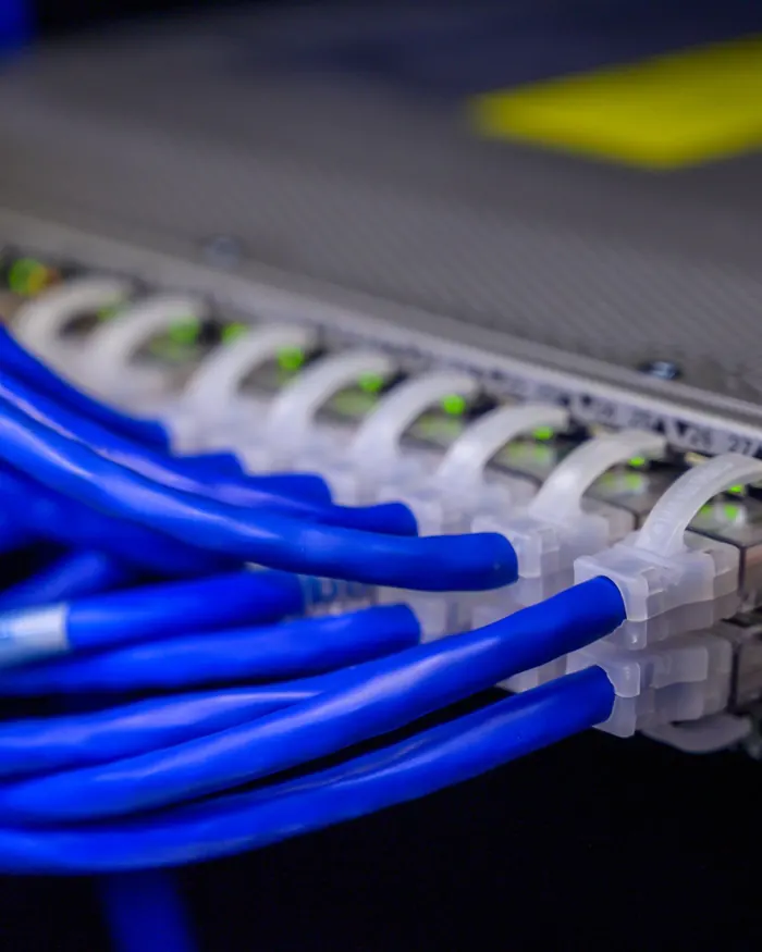Blue network cables plugged into a row of switch ports